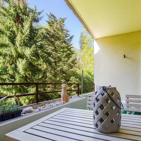Ferienwohnung Rosi Appartamento Bad Sachsa